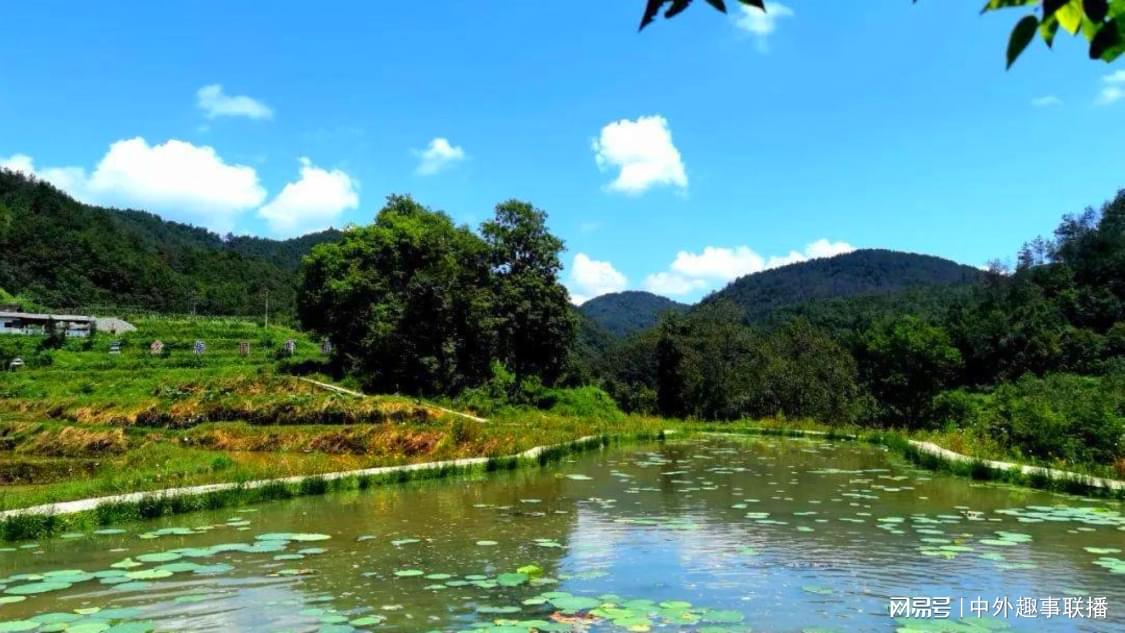 抖音业务自助下单原始网址：自助下单服务官网便捷体验平台