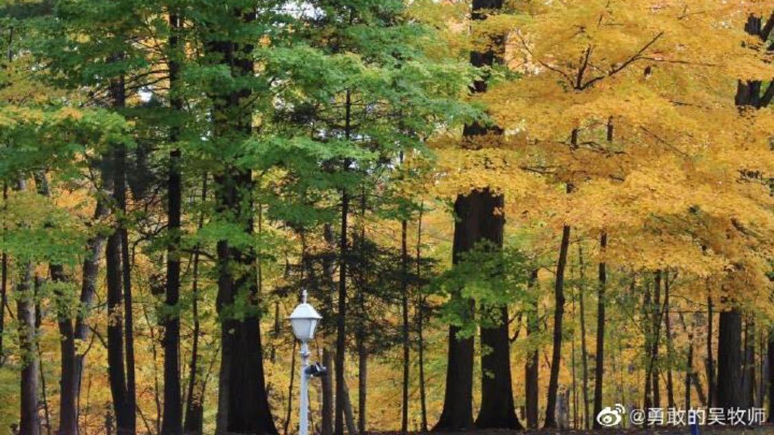 今日种草推广智能化配置您的推广后台:赋能内容传播的利器,快手秒赞秒双击：提升视频曝光率的关键技巧